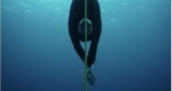 Image du film Bleu Silence